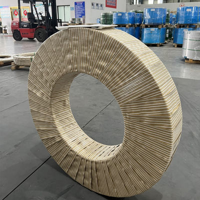 SUS 301 CSP-H Full Hard Stainless Steel Coil Strip 0.1-3.0mm Dengan Tepi Slit
