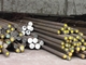 904l Stainless Steel Alloy Round Bar Dingin Diambil / Hot Rolled / Tempa Batang Stainless Steel Grade 904L